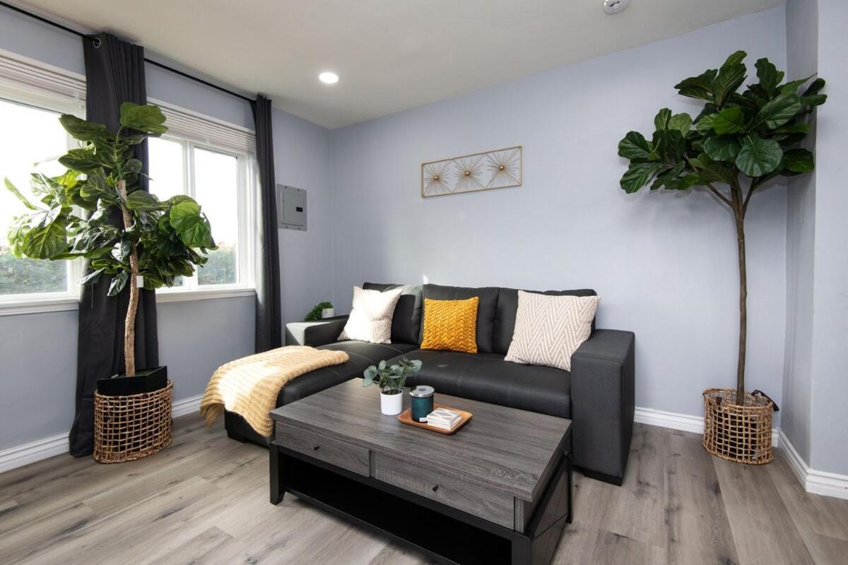 Apartment Spacious 3 Bedroom 2 Bathroom With Free Onsite Parking *